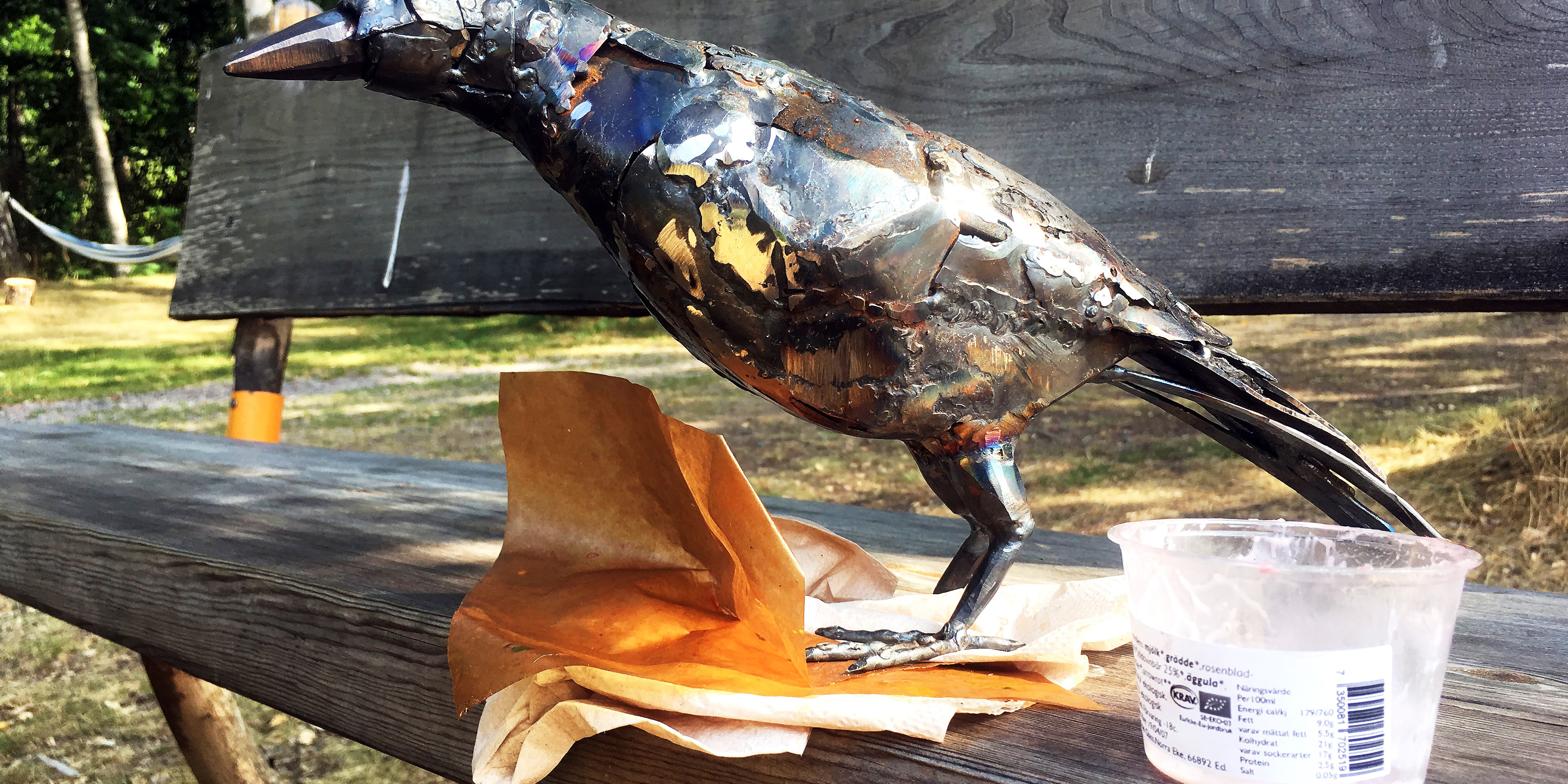 Skatfagel bank och skrap