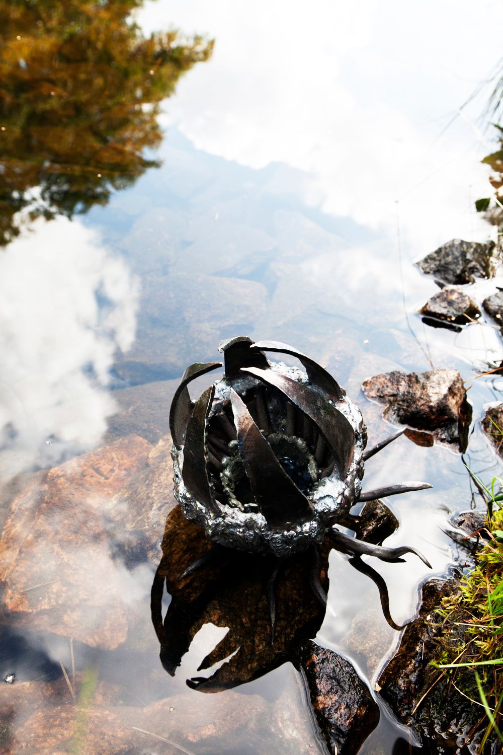 toothfairy spegelblankt