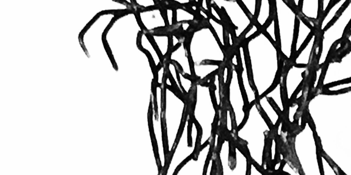 kylse neuron detalj 2